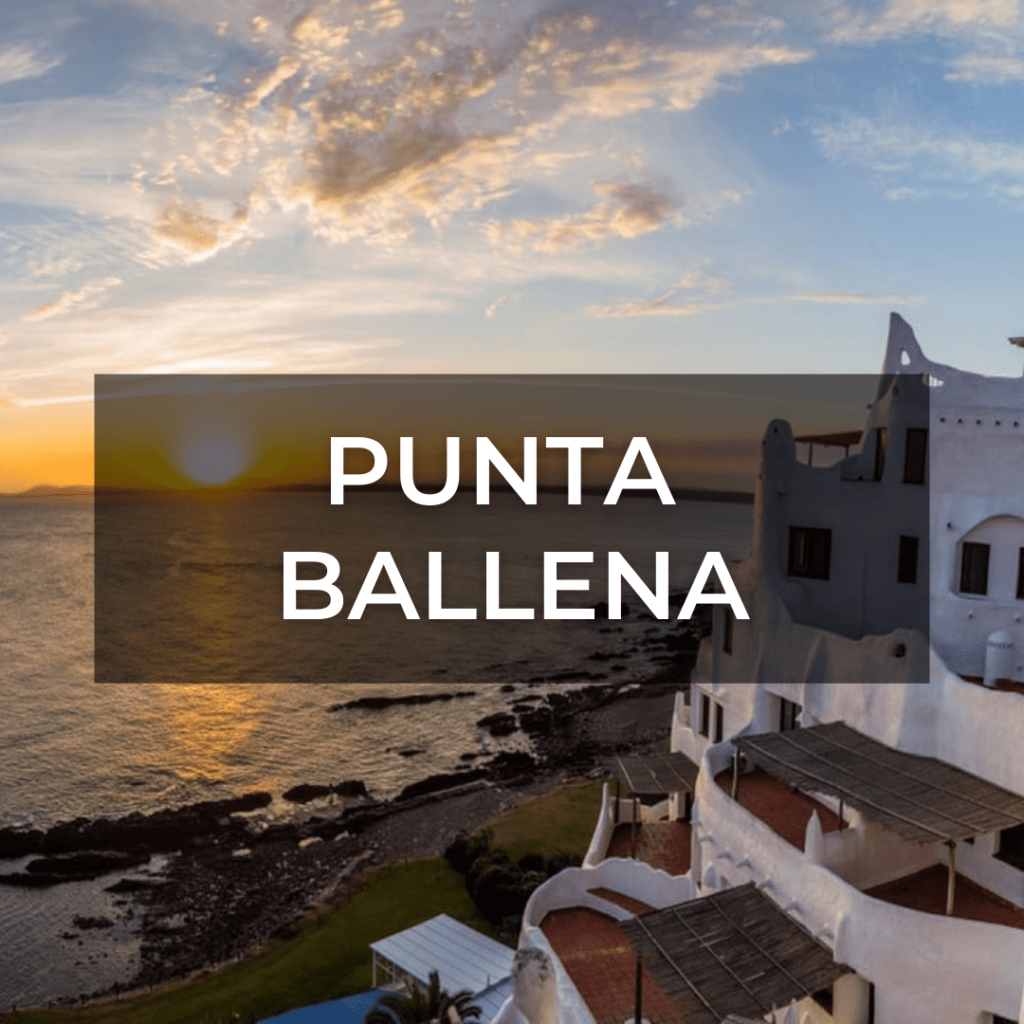 Punta Ballena 🐋