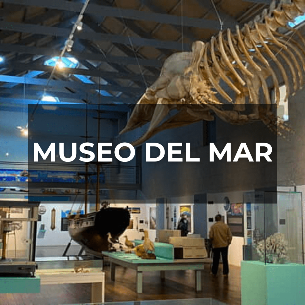 Museo del Mar- Museo do Mar de Galicia ⚓