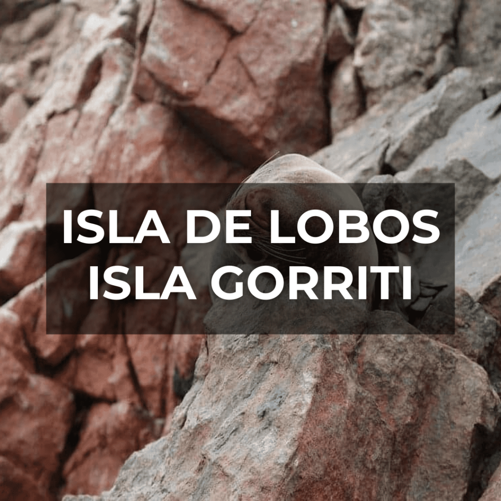Isla Gorriti e Isla de Lobos 🏝️