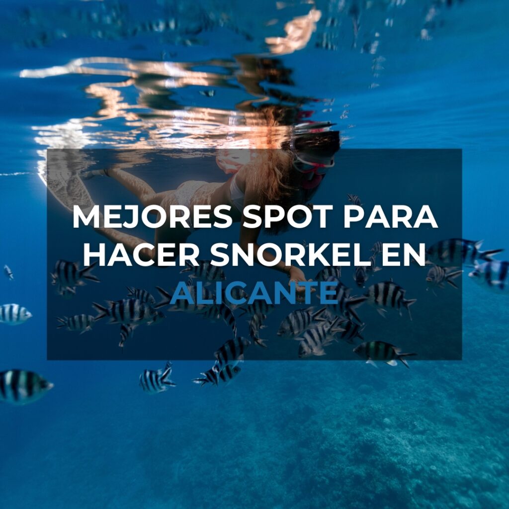 Mejores Spot para hacer snorkel en Alicante