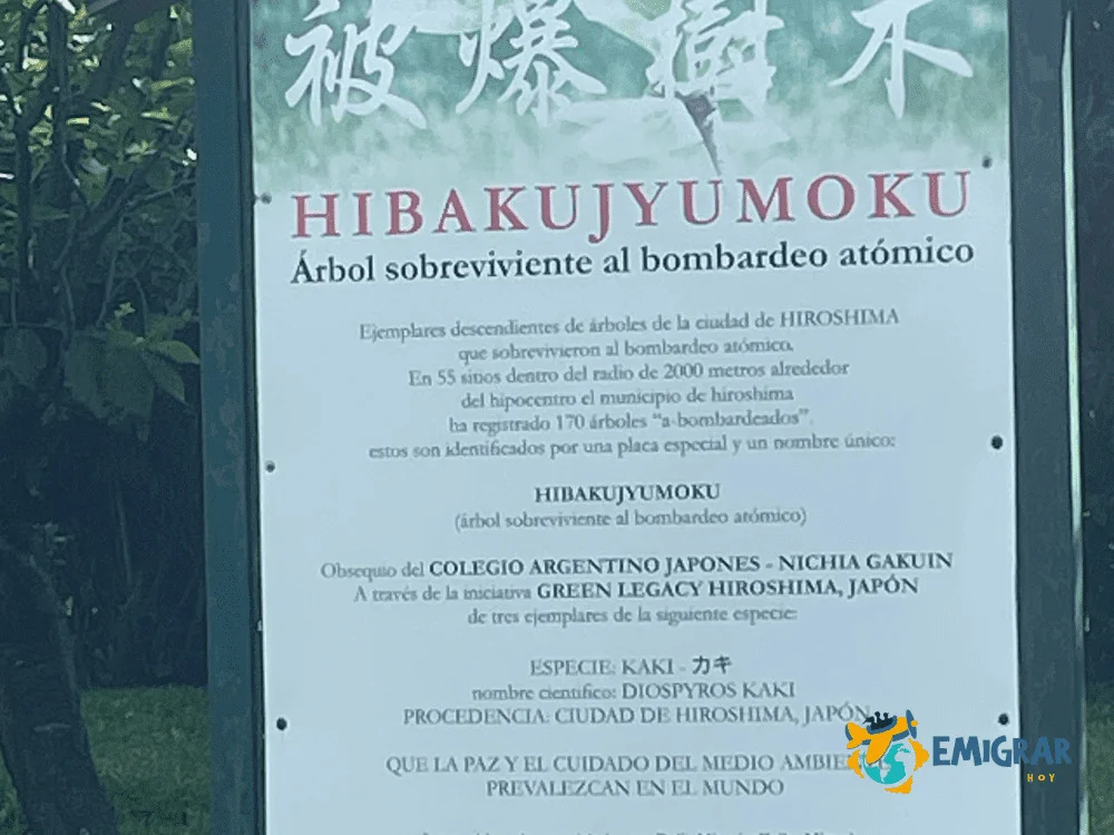 Arboles donados de Hiroshima